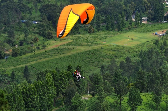 Uji adrenalin terbang dengan paralayang di Puncak