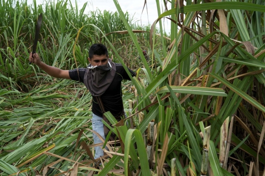 Membebaskan tanah leluhur Suku Nasa