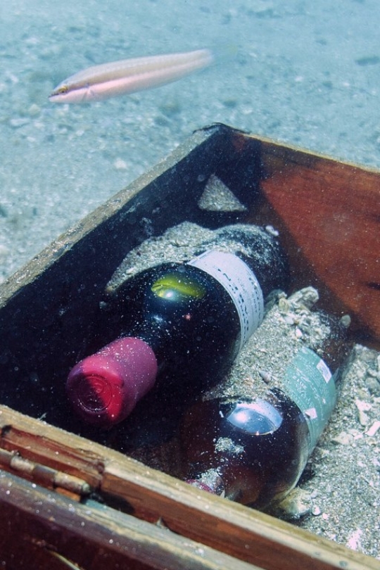 Memanen anggur di dasar Laut Mediterania