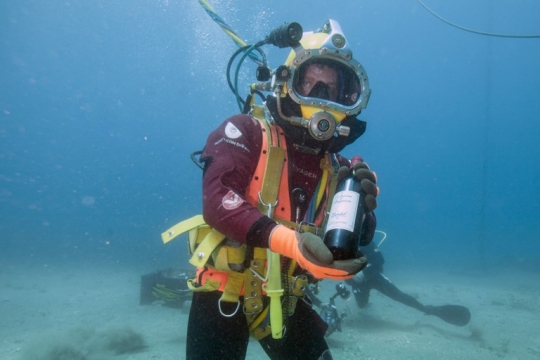 Memanen anggur di dasar Laut Mediterania