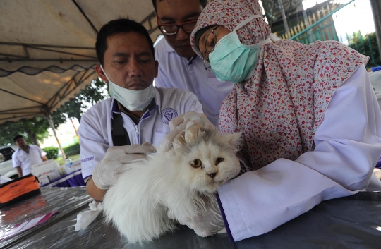 Dokter hewan beri vaksin anti rabies gratis di Cibinong