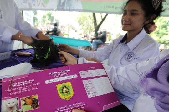 Dokter hewan beri vaksin anti rabies gratis di Cibinong
