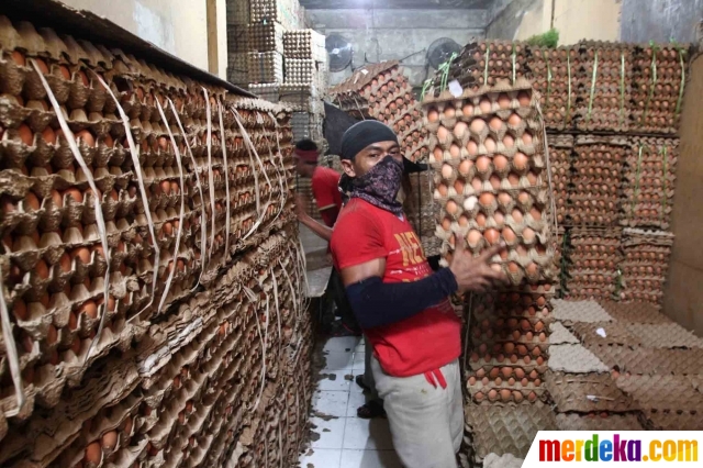 Foto Jelang Ramadan harga  telur ayam  melejit merdeka com