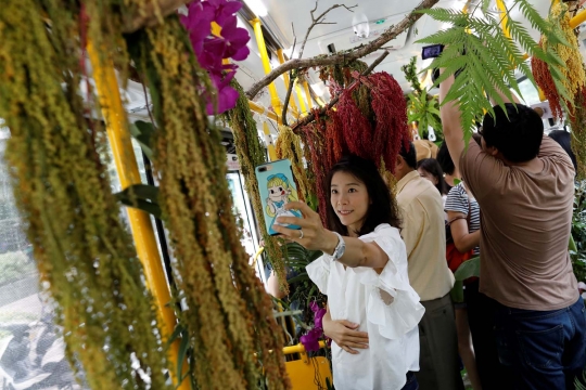 Menikmati kenyamanan bus berisi kebun dan taman di Taiwan