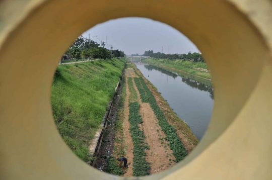 Menanam rezeki di pinggir Kanal Banjir Timur