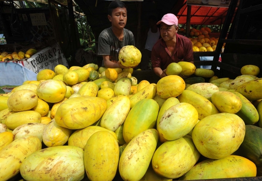 Cuaca tak menentu, harga timun suri meroket