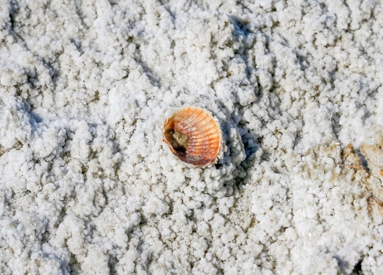 Mengarungi Laut Aral yang menghilang