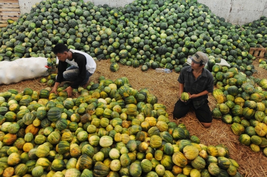 Berkah Ramadan, pedagang buah di Kramat Jati laris-manis