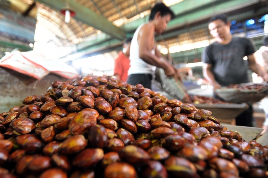 Harga jengkol mulai alami penurunan