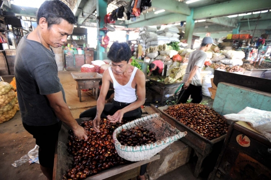 Harga jengkol mulai alami penurunan