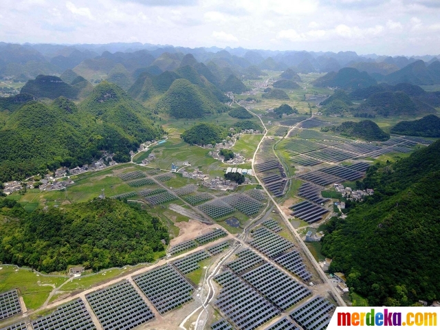 Foto : Dikira sawah, ternyata ini adalah ladang panel 