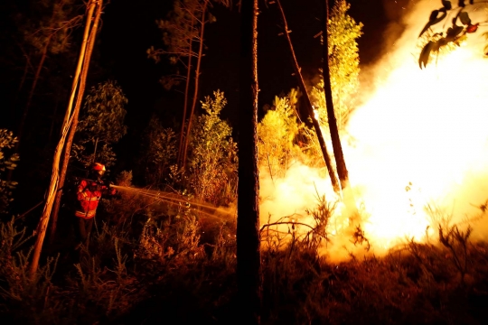 Ganasnya kebakaran hutan di Portugal yang tewaskan 25 orang