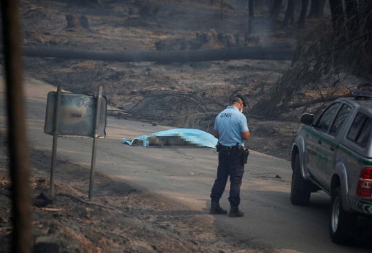 Ganasnya kebakaran hutan di Portugal yang tewaskan 25 orang