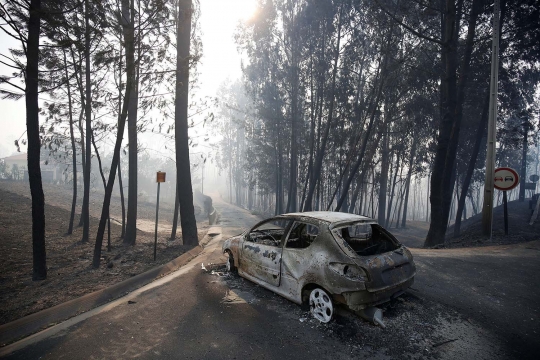 Ganasnya kebakaran hutan di Portugal yang tewaskan 25 orang