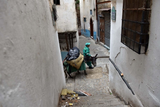 Kisah keledai pengangkut sampah di Kasbah