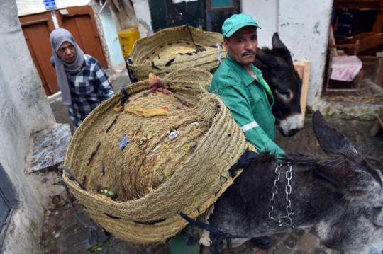 Kisah keledai pengangkut sampah di Kasbah