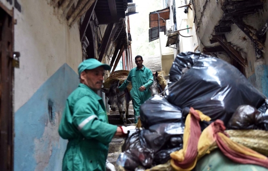 Kisah keledai pengangkut sampah di Kasbah