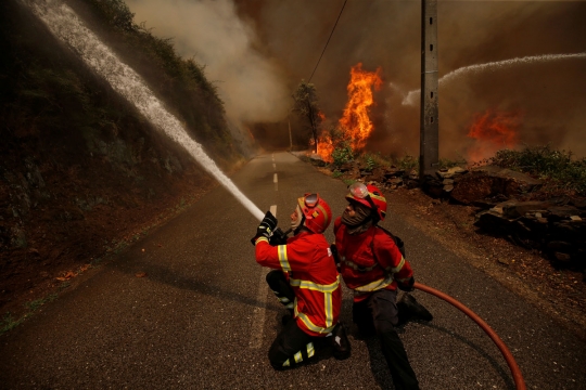 Aksi heroik petugas damkar jinakkan kebakaran hutan Portugal