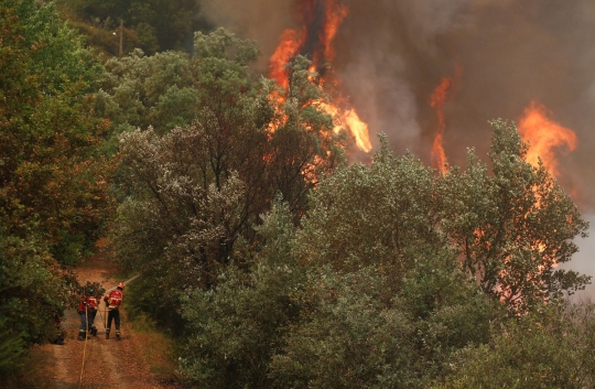 Aksi heroik petugas damkar jinakkan kebakaran hutan Portugal