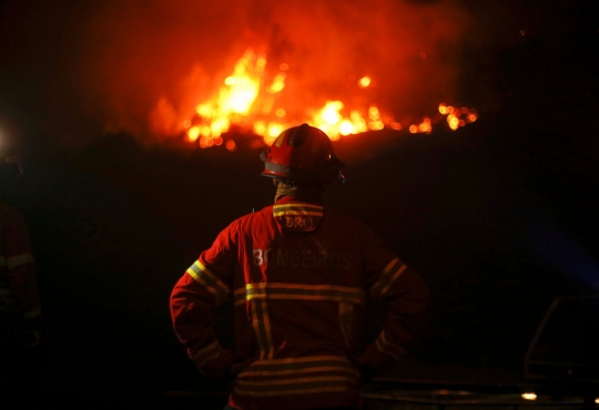 Aksi heroik petugas damkar jinakkan kebakaran hutan Portugal