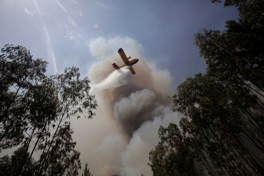 Aksi pesawat-pesawat pemadam saat kebakaran hutan di Portugal