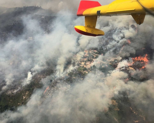 Aksi pesawat-pesawat pemadam saat kebakaran hutan di Portugal