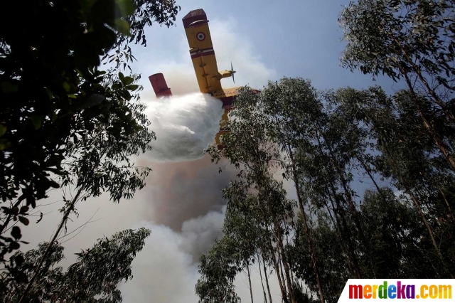 Foto : Aksi pesawat-pesawat pemadam saat kebakaran hutan 