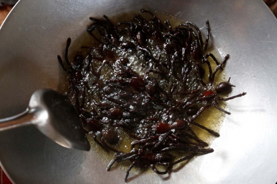 Tarantula goreng, kuliner ekstrem paling nikmat khas Kamboja