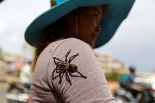 Tarantula goreng, kuliner ekstrem paling nikmat khas Kamboja