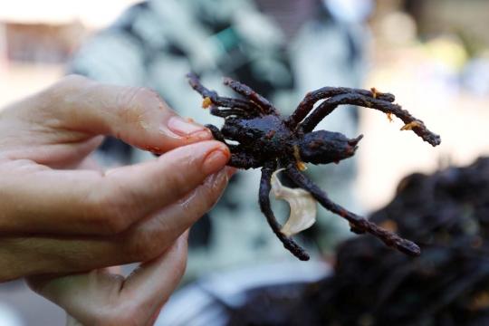 Tarantula goreng, kuliner ekstrem paling nikmat khas Kamboja