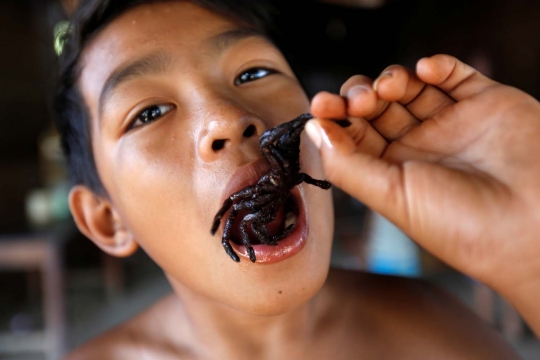 Tarantula goreng, kuliner ekstrem paling nikmat khas Kamboja