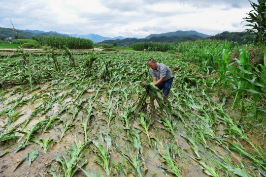 Banjir parah landa China, ratusan ribu warga diungsikan