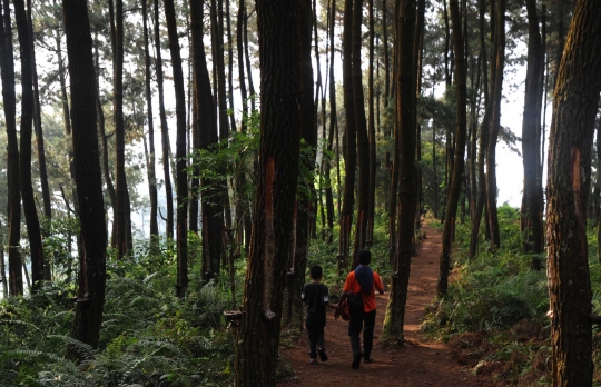 Menikmati akhir pekan di Curug Ciampea