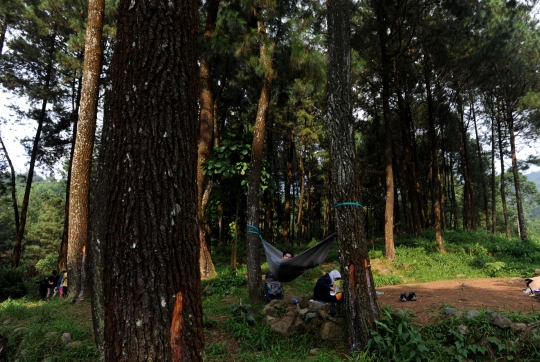 Menikmati akhir pekan di Curug Ciampea