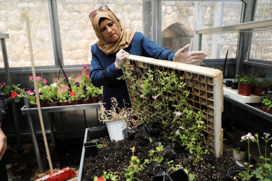 Berkebun di rumah kaca jadi ladang bisnis kaum hawa Palestina