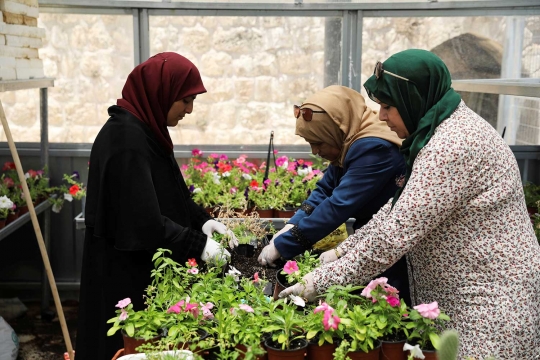 Berkebun di rumah kaca jadi ladang bisnis kaum hawa Palestina