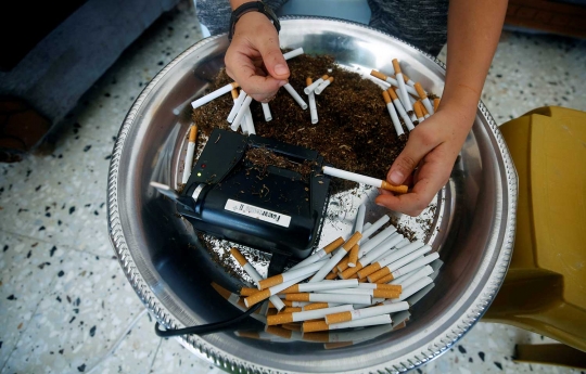 Cara petani Palestina memproduksi tembakau menjadi rokok