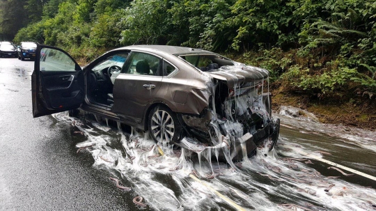 Truk belut terguling, jalanan di AS 'banjir' lendir