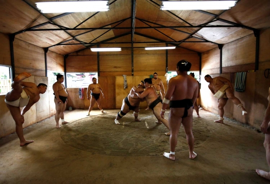 Intip kegiatan keseharian pesumo Jepang di kuil tempat latihannya