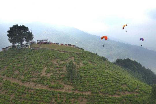 Turis Timur Tengah padati lokasi wisata paralayang di Puncak