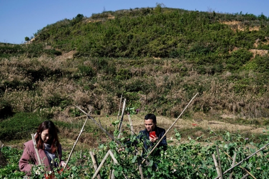 Menengok kehidupan wanita pacar sewaan di China