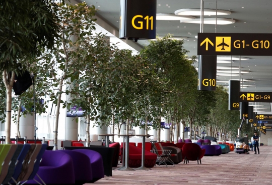 Intip terminal baru Bandara Singapura, bertabur teknologi canggih