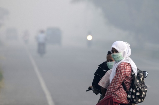 Kebakaran hutan, jarak pandang di Aceh terbatas