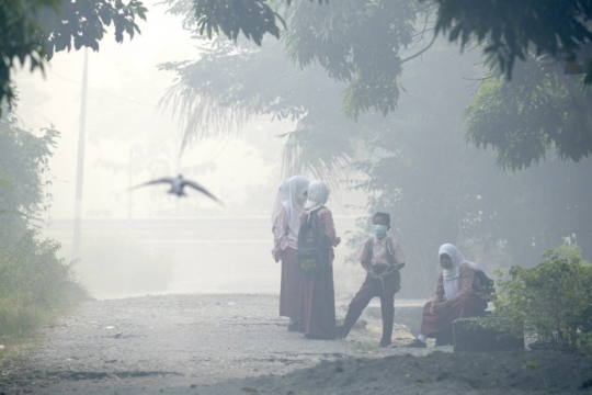 Kebakaran hutan, jarak pandang di Aceh terbatas