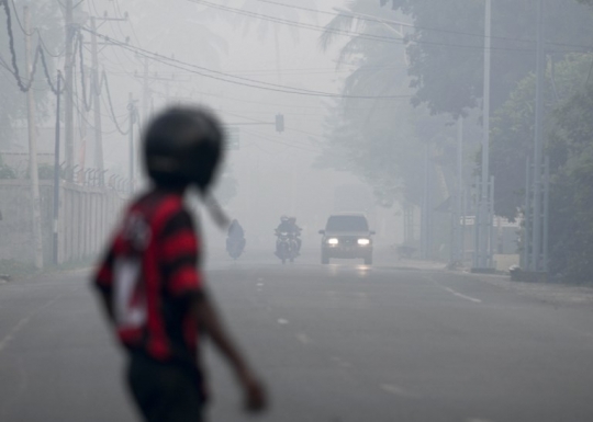 Kebakaran hutan, jarak pandang di Aceh terbatas