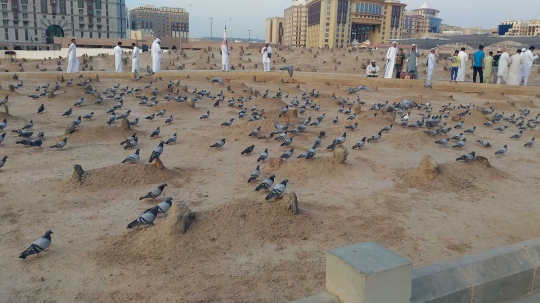 Berziarah ke Baqi, makam para sahabat nabi