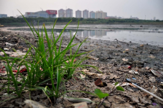 Penampakan Waduk Ria Rio dilanda kekeringan