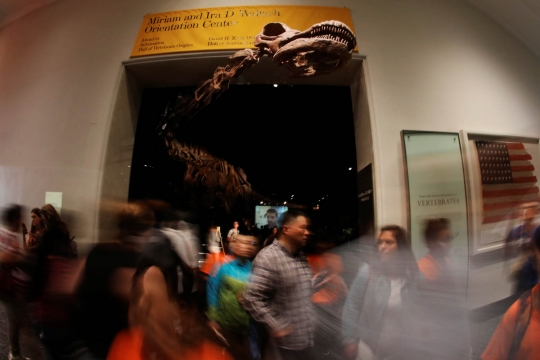 Ini wujud kerangka dinosaurus terbesar di dunia