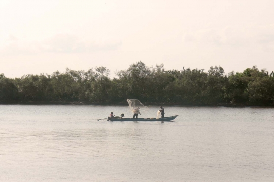 Denyut kehidupan Kampung Laut Cilacap