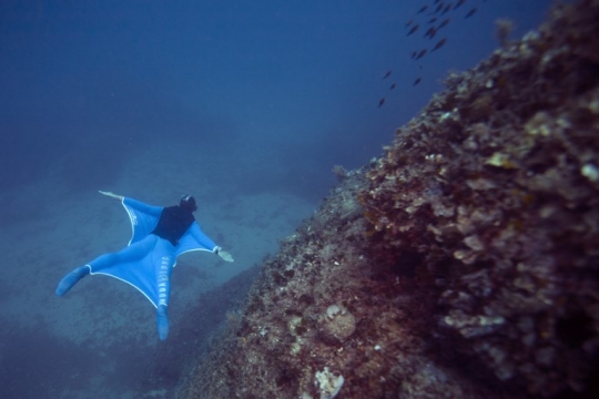 Sensasi 'terbang' di kedalaman laut dengan wetsuit